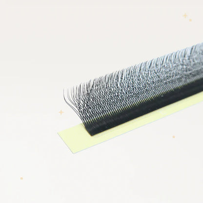 XL special YY lashes