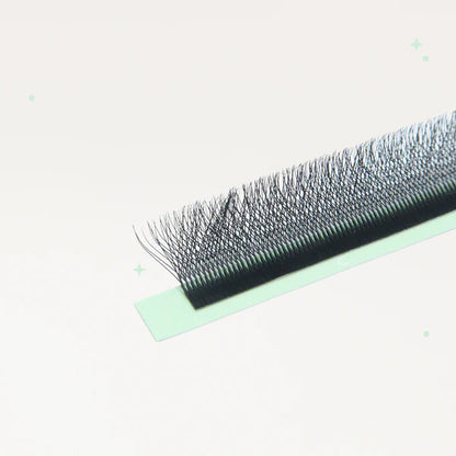 XL special YY lashes